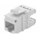 Conector Furukawa RJ-45 Femea CAT-5E Multilan 35060501      